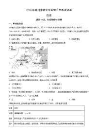 初中历史中考复习 精品解析：江苏省苏州市2020年中考历史试题（原卷版）