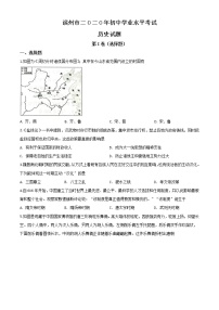 初中历史中考复习 精品解析：山东省滨州市2020年中考历史试题（原卷版）