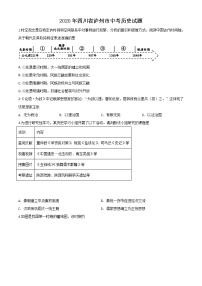 初中历史中考复习 精品解析：四川省泸州市2020年中考历史试题（原卷版）