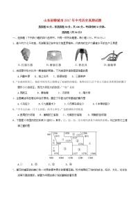 初中历史中考复习 山东省聊城市2017年中考历史真题试题（含答案）