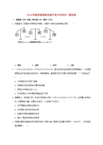 初中历史中考复习 陕西省渭南市富平县2019年中考历史一模试题（含解析）