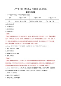 初中历史中考复习 专题06  科技文化与社会生活（测试)（解析版）