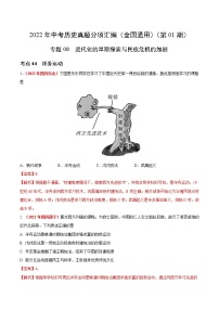 初中历史中考复习 专题08 近代化的早期探索与民族危机的加剧（第01期）-2022年中考历史真题分项汇编（全国通用）（解析版）