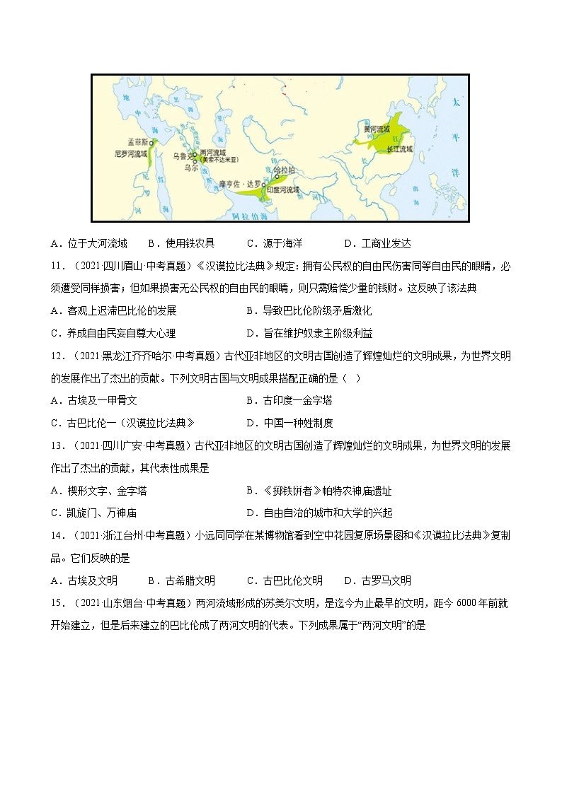 初中历史中考复习 专题25 古代亚非文明（原卷版）第3页