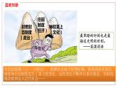 2022-2023学年部编版九年级历史上册 第13课  西欧经济和社会的发展课件