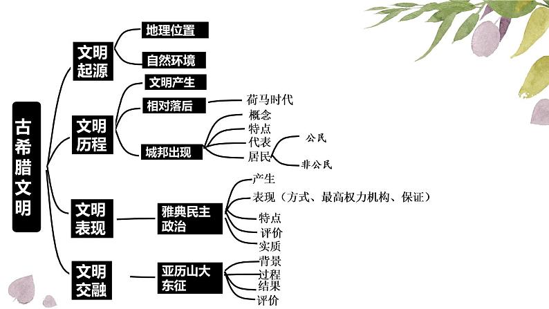 第4课 希腊城邦和亚历山大帝国课件第3页