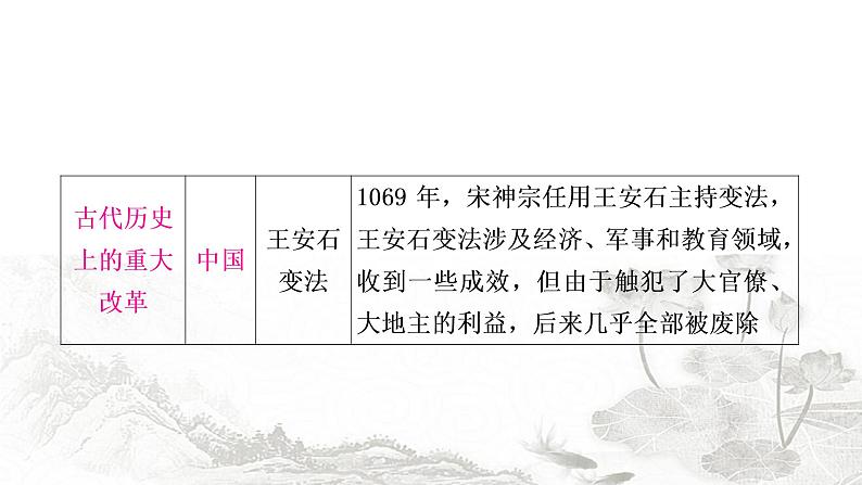 中考历史复习知识专题二中外重大改革与制度创新教学课件第4页