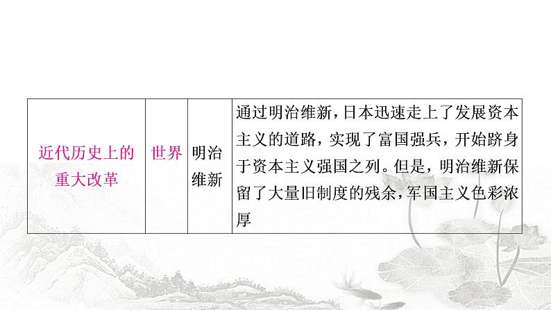 中考历史复习知识专题二中外重大改革与制度创新教学课件第8页