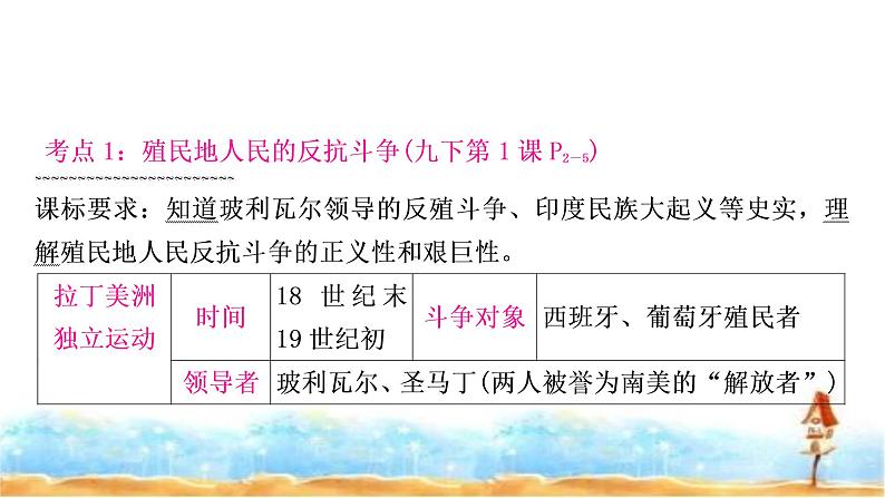 中考历史复习世界近代史第四单元殖民地人民的反抗与资本主义制度的扩展教学课件04