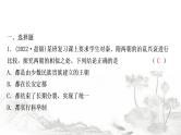 中考历史复习中国古代史第五单元隋唐时期：繁荣与开放的时代作业课件