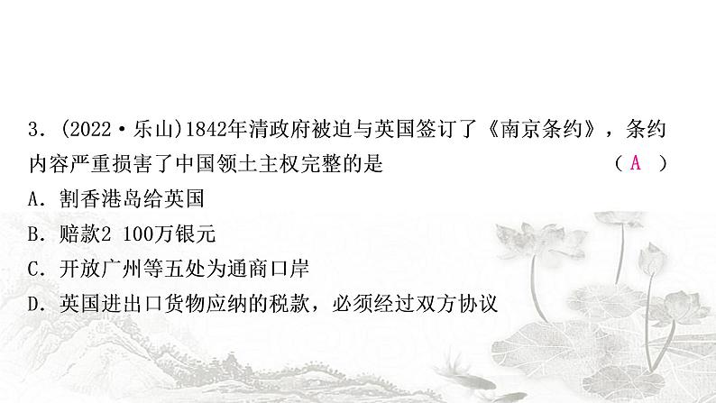中考历史复习中国近代史第一单元中国开始沦为半殖民地半封建社会作业课件04