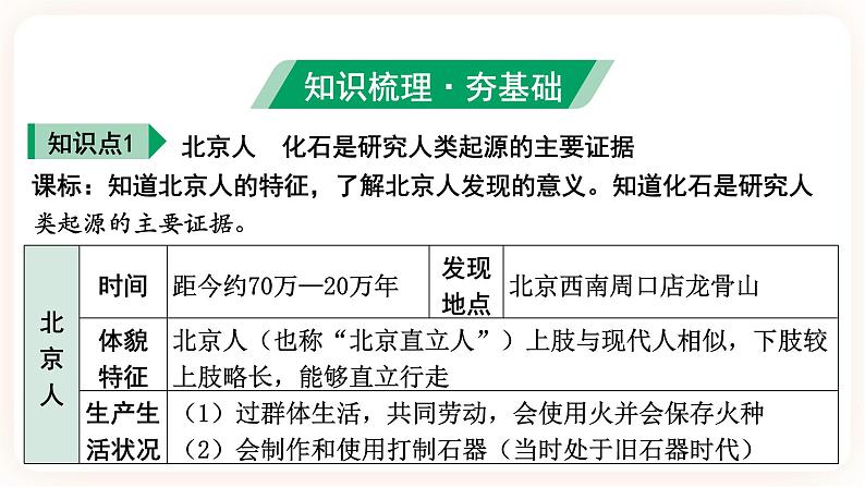 【中考一轮复习】2023年中考历史一轮复习课件： 中国古代史《 第一单元 史前时期：中国境内早期人类与文明的起源》 第6页