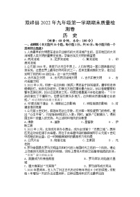 湖南省娄底市双峰县2022-2023学年九年级上学期期末考试历史试题