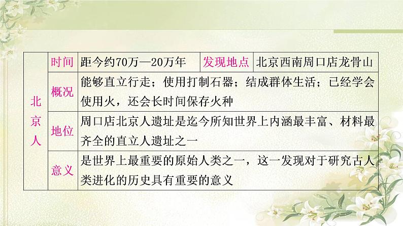 中考历史复习中国古代史第一单元史前时期：中国境内早期人类与文明的起源教学课件08