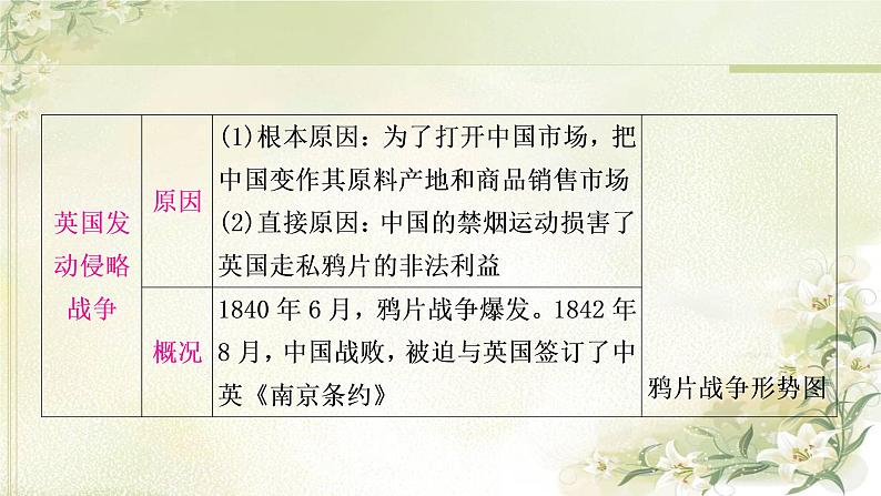 中考历史复习中国近代史第一单元中国开始沦为半殖民地半封建社会教学课件第8页