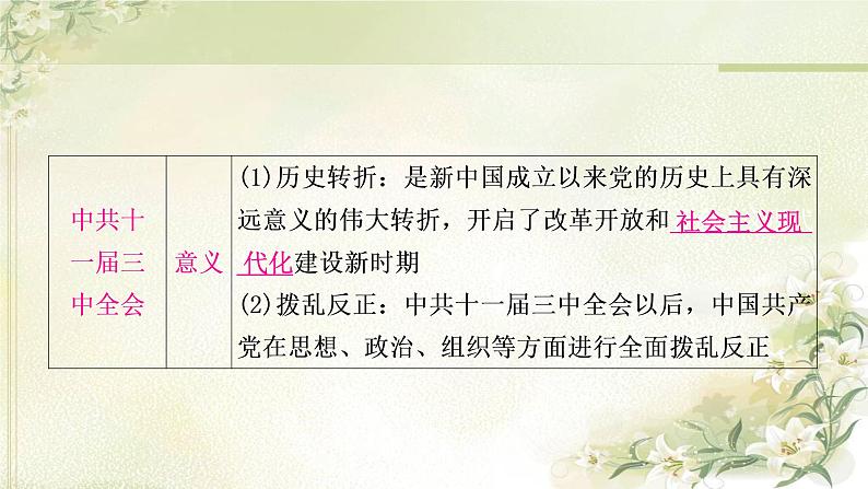 中考历史复习中国现代史第三单元中国特色社会主义道路教学课件08