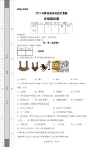 2022年陕西省中考历史真题附答案解析（高清版）