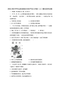 2022-2023学年山东省泰安市东平县七年级（上）期末历史试卷（含解析）