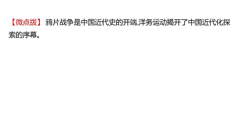 2023 中考一轮复习 初中历史 八年级上册　第二单元　近代化的早期探索与民族危机的加剧 课件第7页