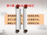 第六单元第十九课社会生活的变迁课件 部编版八年级历史下学期