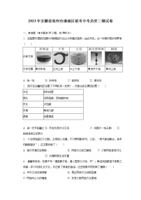 2023年安徽省亳州市谯城区联考中考历史二模试卷(含解析）