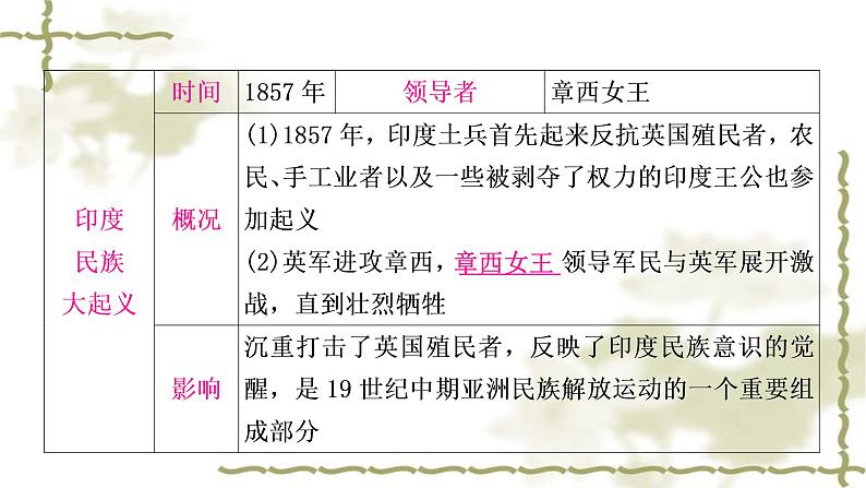 中考历史复习世界近代史第四单元殖民地人民的反抗与资本主义制度的扩展教学课件06