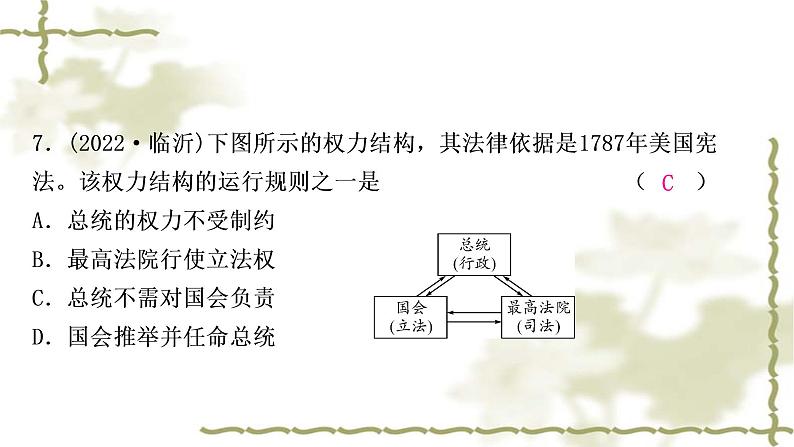 中考历史复习世界近代史第二单元资本主义制度的初步确立作业课件第8页