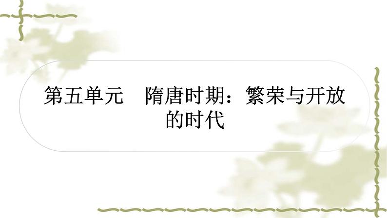 中考历史复习中国古代史第五单元隋唐时期：繁荣与开放的时代作业课件01