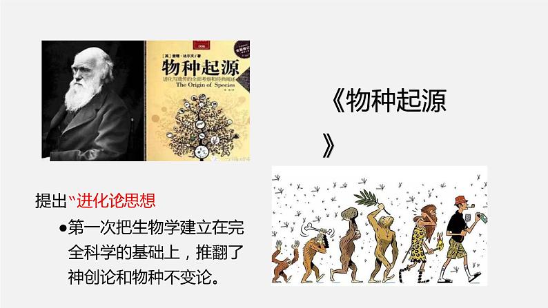 最新中考历史二轮专题复习课件  专题10 近代科学与文化与现代社会 （部编版）第8页