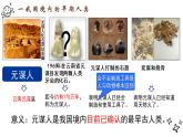 第1课 中国境内早期人类的代表——北京人课件PPT