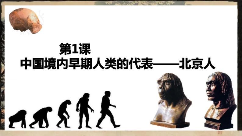 第1课中国境内早期人类的代表——北京人课件01