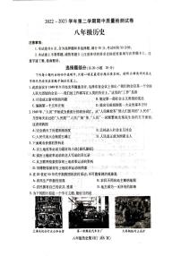 河南省平顶山市叶县2022-2023学年八年级下学期期中历史试题