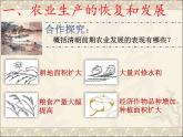 部编版七年级历史下册--第19课 清朝前期社会经济的发展（课件）