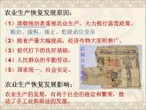 部编版七年级历史下册--第19课 清朝前期社会经济的发展（课件）