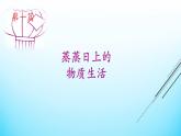 部编版八年级历史下册--第19课 社会生活的变迁（课件）