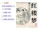 部编版七年级历史下册--第21课 清朝前期的文学艺术（课件1）