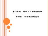 部编版八年级历史下册--第19课 社会生活的变迁（课件1）