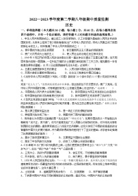 广东省阳江市江城区2022-2023学年八年级下学期期中历史试题