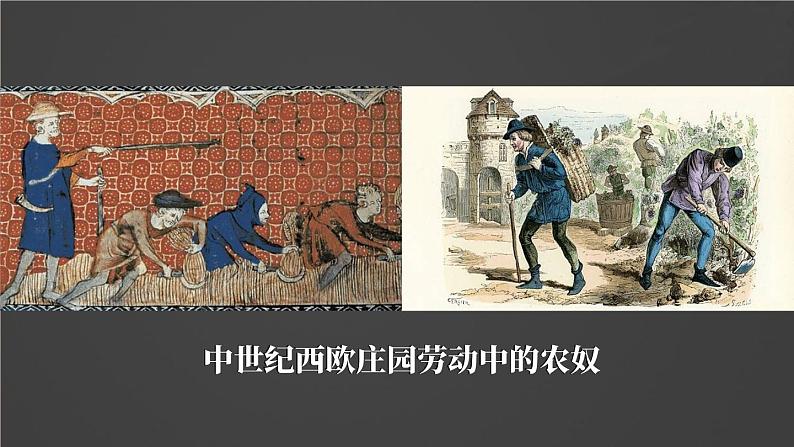 人教版历史九年级上册 第8课 西欧庄园 同步课件+同步教案07
