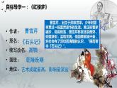 3.21 清朝前期是文化艺术 课件 2022-2023学年部编版七年级历史下册
