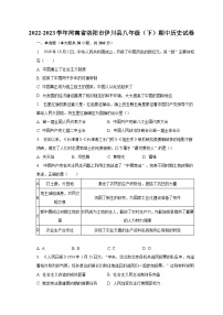 2022-2023学年河南省洛阳市伊川县八年级（下）期中历史试卷（含解析）