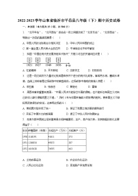 2022-2023学年山东省临沂市平邑县八年级（下）期中历史试卷（含解析）