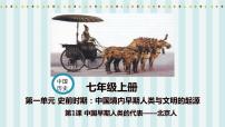 历史人教部编版第一课 中国境内早期人类的代表—北京人教学课件ppt