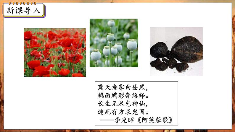 第1课 鸦片战争第3页