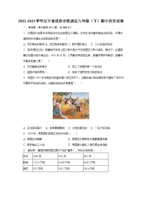 2022-2023学年辽宁省沈阳市铁西区八年级（下）期中历史试卷（含解析）