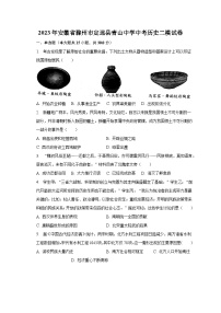 2023年安徽省滁州市定远县青山中学中考历史二模试卷（含解析）