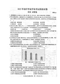 安徽合肥新站区2023届九年级中考二模历史试卷+答案