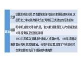 2023年福建省中考历史二轮专题复习 专题九　福建地方史 课件