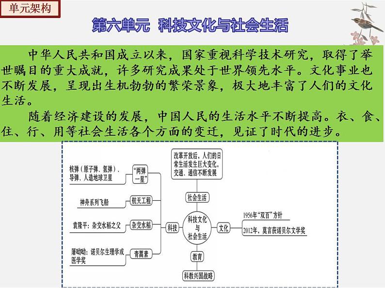 【期末综合复习】部编版历史八年级下册 复习串讲课件06 科技文化与社会生活（类型1 知识整合）05