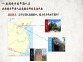 第1课  中国境内早期人类的代表——北京人-课件